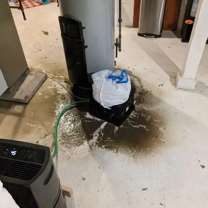 Sewage Backup Cleanup Service in Pablo, MT